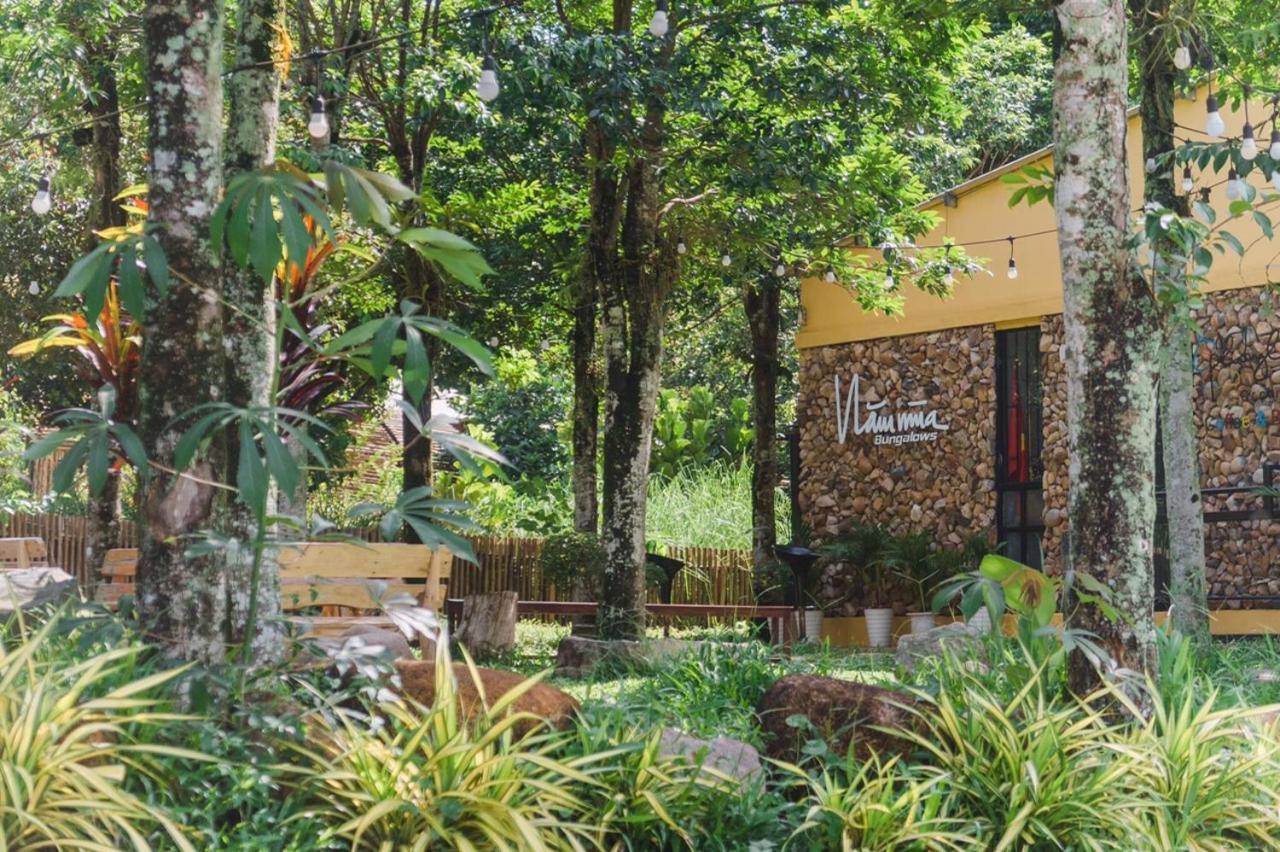 Nam Mua Bungalows Huong Hoa Exteriér fotografie